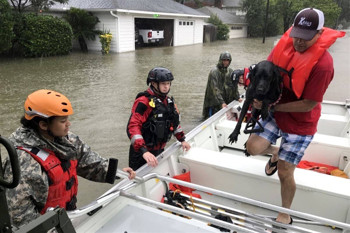 Man dog enter boat during Hurricane Harvey rescue