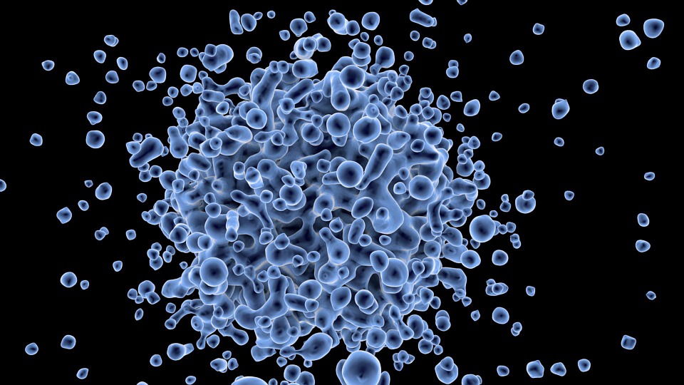 virus cell