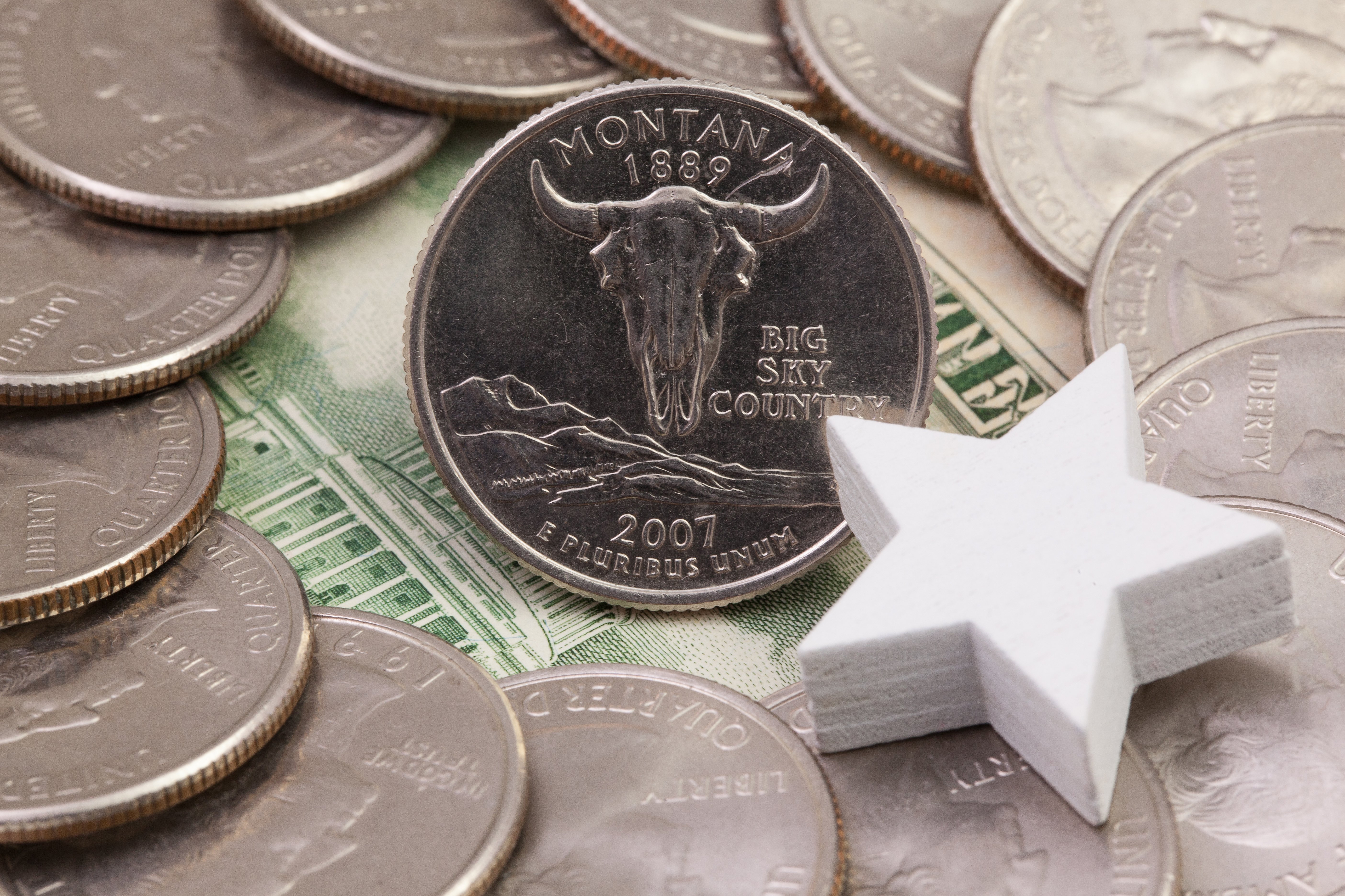 Montana state quarter which features a bison skull surrounded by other quarters and a white star decoration