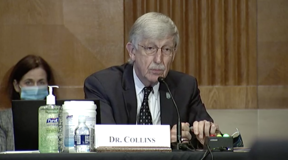 NIH Director Francis Collins testifies before the Senate HELP committee on Sept 9