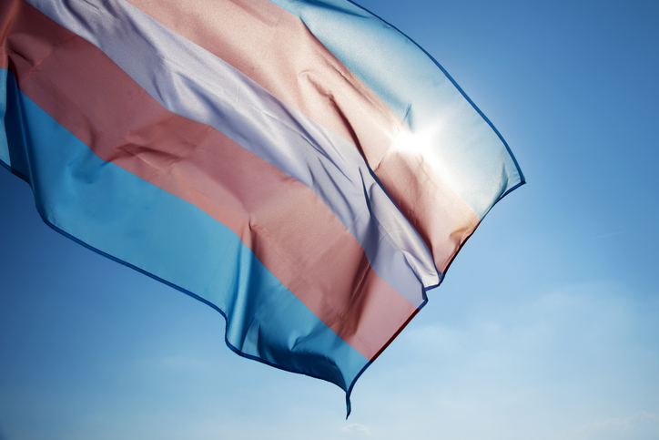 A transgender pride flag waiving in the sunlight