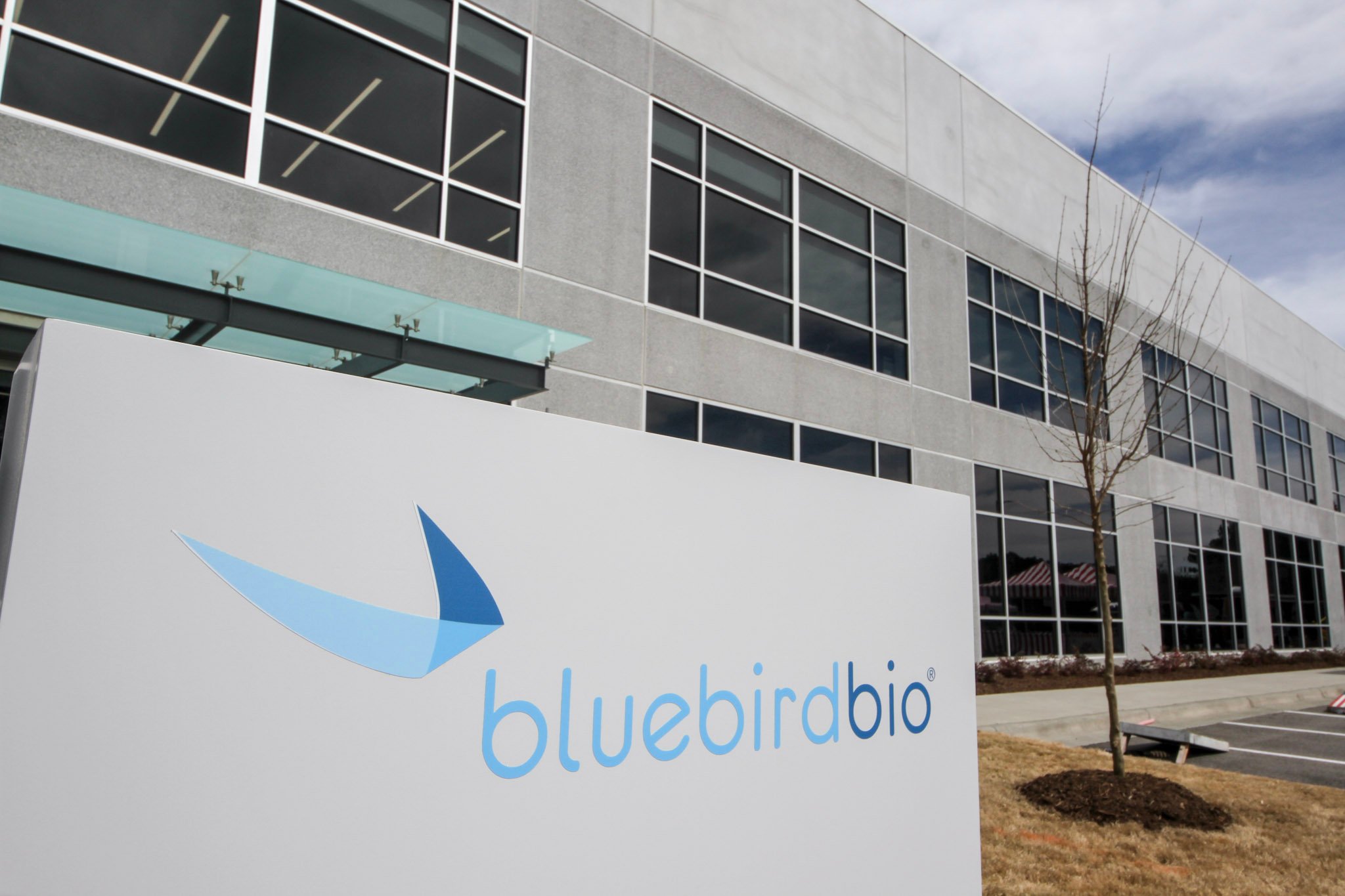 CellsBluebird Bio site in Durham North Carolina 