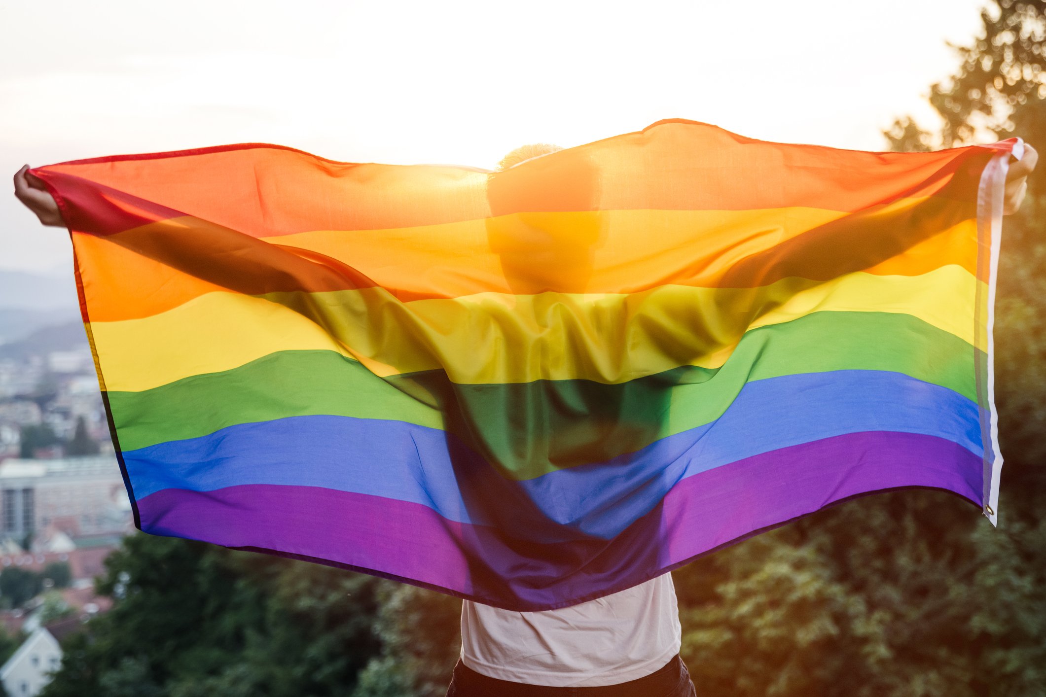 Pride flag from Getty Images