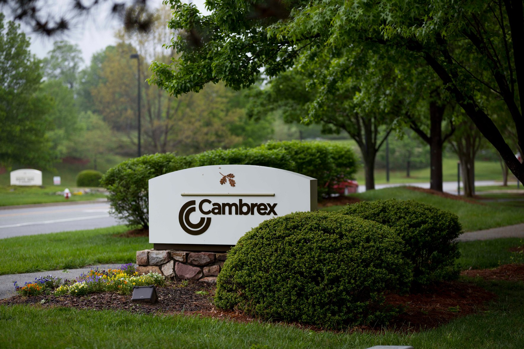 Cambrex North Carolina