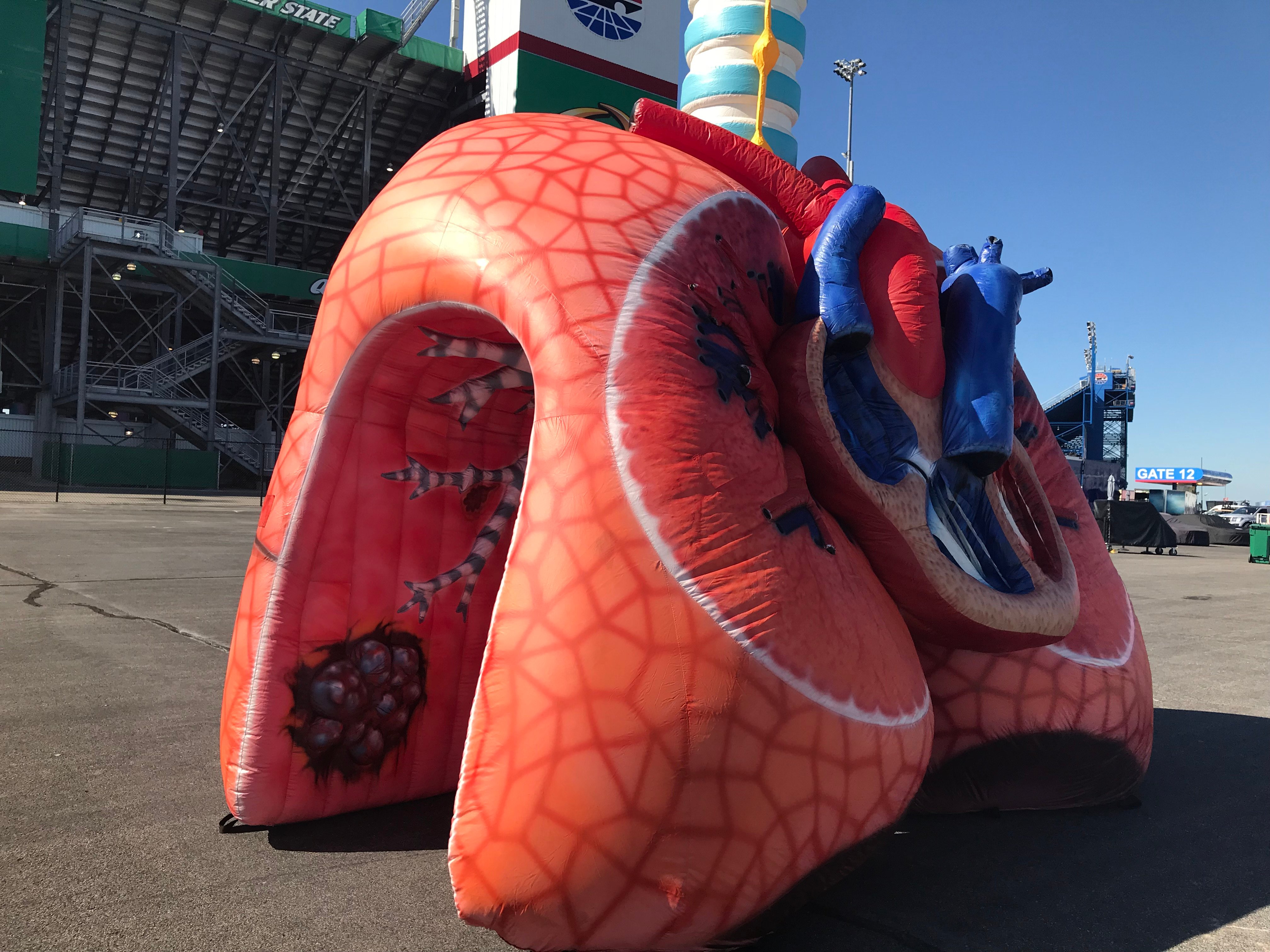 AZ LungXperience inflatable lung photo