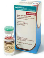 Merck's Gardasil HPV vaccine--FierceBiotech file photo