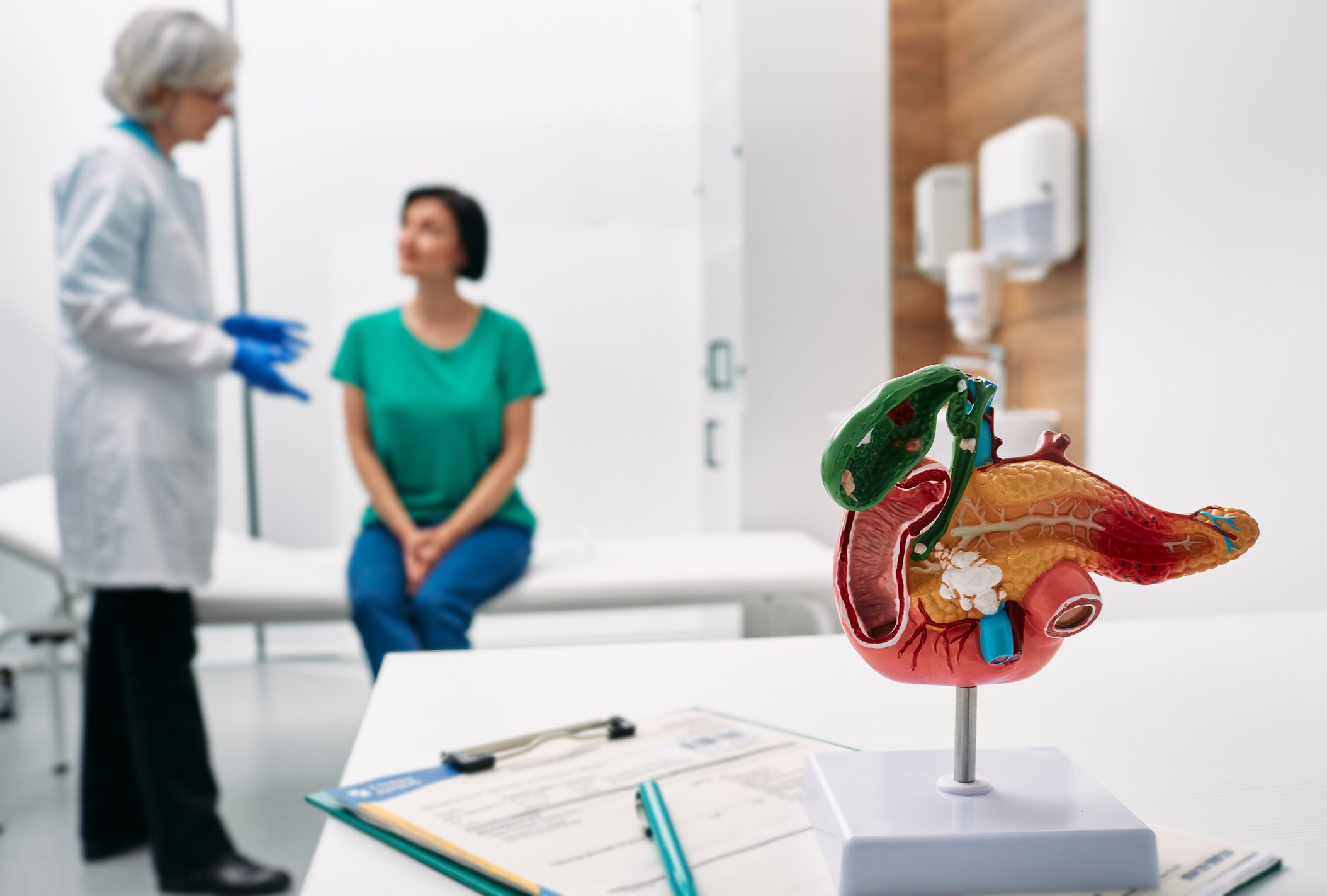 Gastroenterology consultation anatomical model of pancreas on doctor table