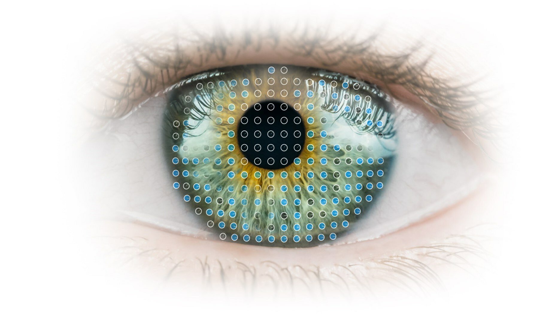 Zeiss Medical Technology eye