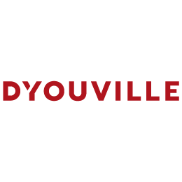 D’Youville College Online