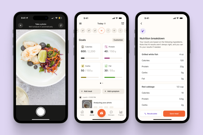 screenshot of AI meal logging app