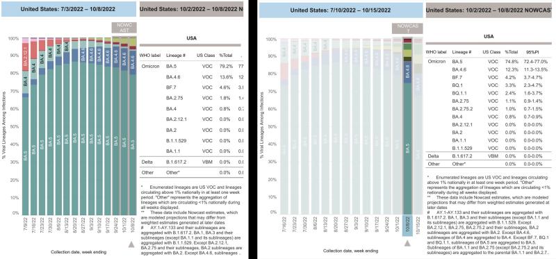 Charting BQ.1.1