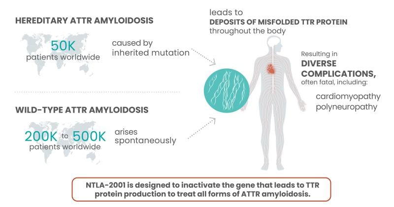 Intellia about ATTR Amyloidosis graphic