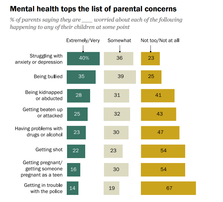parental concerns mental health