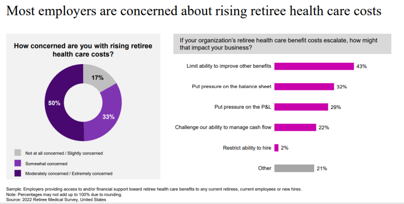 A graphic showing employers' concerns with rising costs