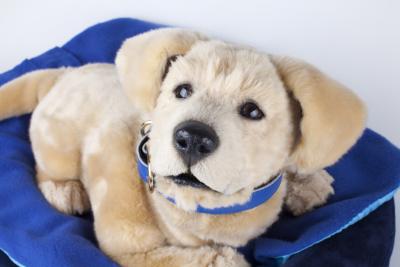 Tombot robotic emotional support animal