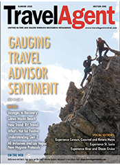 Travel Agent Summer 2020