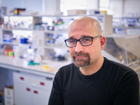University of Leicester professor Flaviano Giorgini in his lab