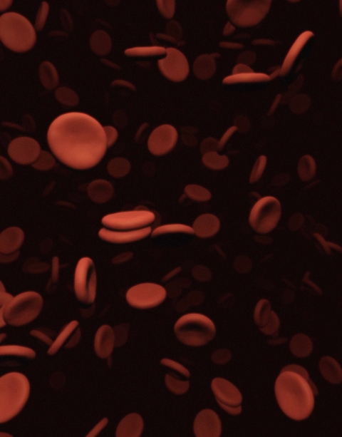 Blood cells
