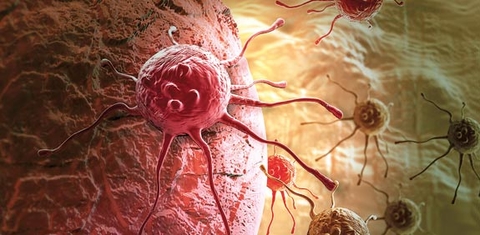 Cancer Cancer
