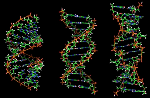 DNA