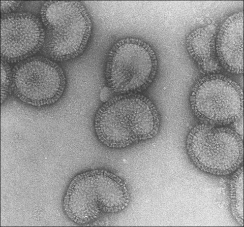 Influenza
