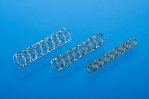 Veniti stents