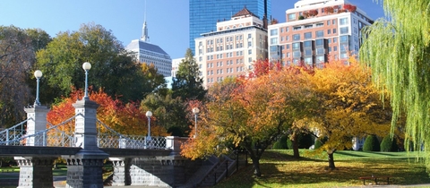 Taj Boston