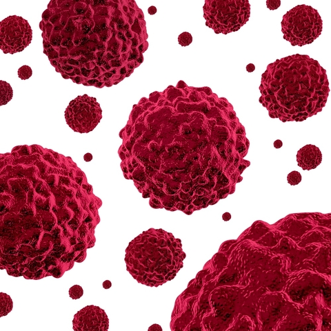 Oncology Oncology