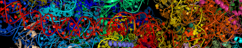 Antimalarial