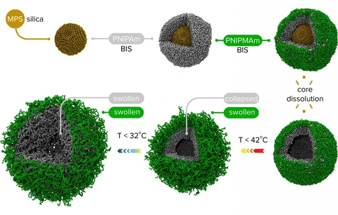 Double-walled nano capsules