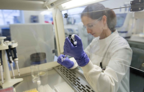 Lab work