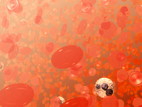 Illustration of red blood cells, white blood cells and platelets