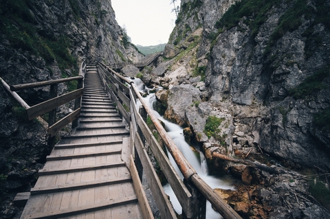 Ladder