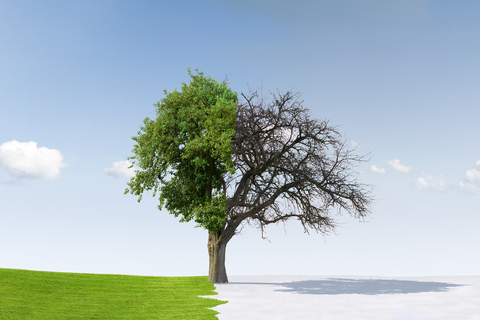 Change Tree