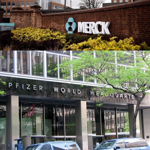 Merck Pfizer combo