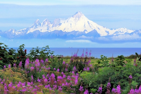 Alaska mountain scene