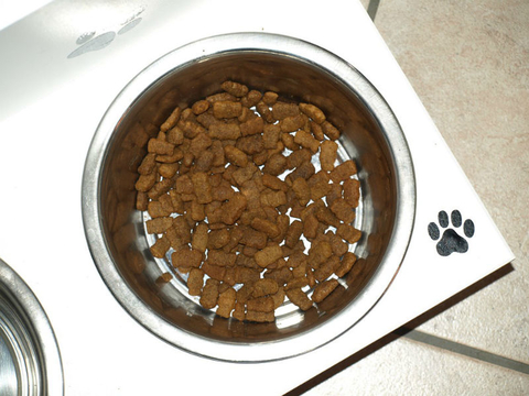 Dog bowl