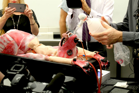 SynDaver dog