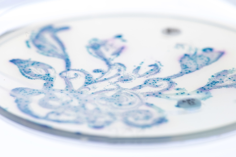Gut bacteria