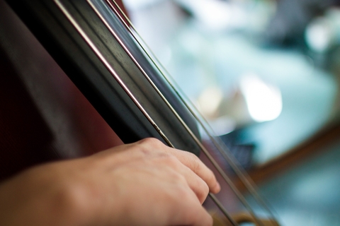 Closeup of hand on cello