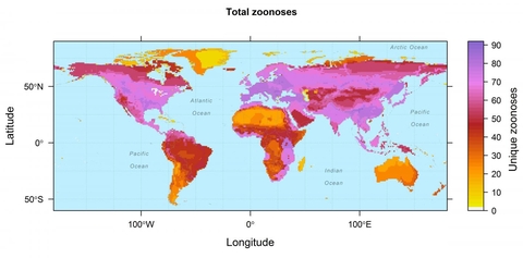 Disease Maps