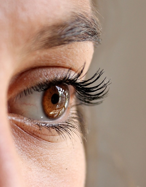 Eye
