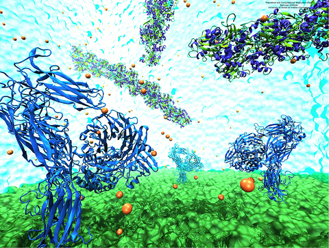 Integrin