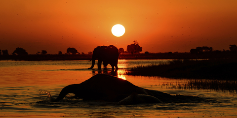 Botswana