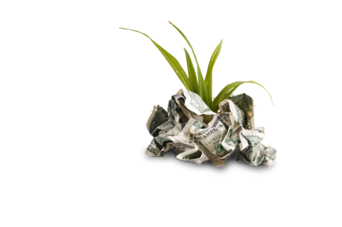 Venture Capital