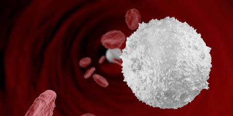 White blood cell