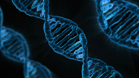 A column of DNA
