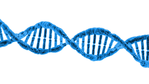 DNA DNA