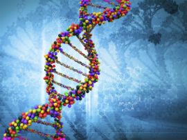 DNA DNA