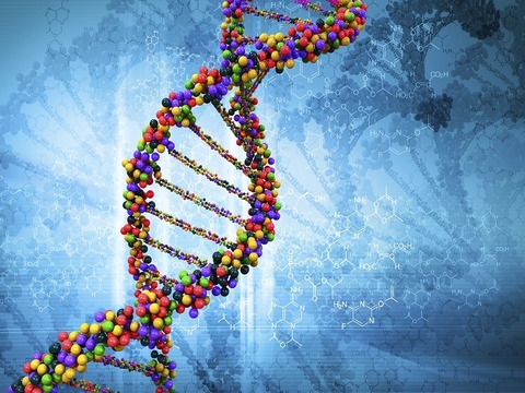 DNA2 DNA